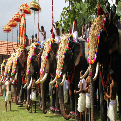 Aarattu Package Tour